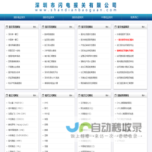 深圳市闪电报关有限公司