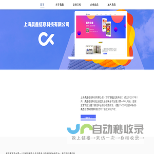 上海晨鑫信息科技有限公司