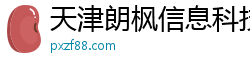 天津朗枫信息科技有限公司