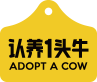 认养一头牛|只为用户养好牛- Adopt A Cow