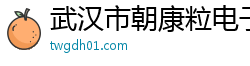 武汉市朝康粒电子商务有限公司