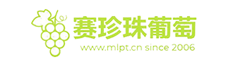 南汇8424西瓜网-南汇8424西瓜网丨南汇8424西瓜采摘价格多少钱一斤丨南汇8424西瓜礼盒