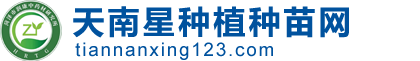 天南星种植种苗网--天南星种子,天南星种茎,天南星种球,天南星种植专家,天南星基地,天南星商品-天南星网